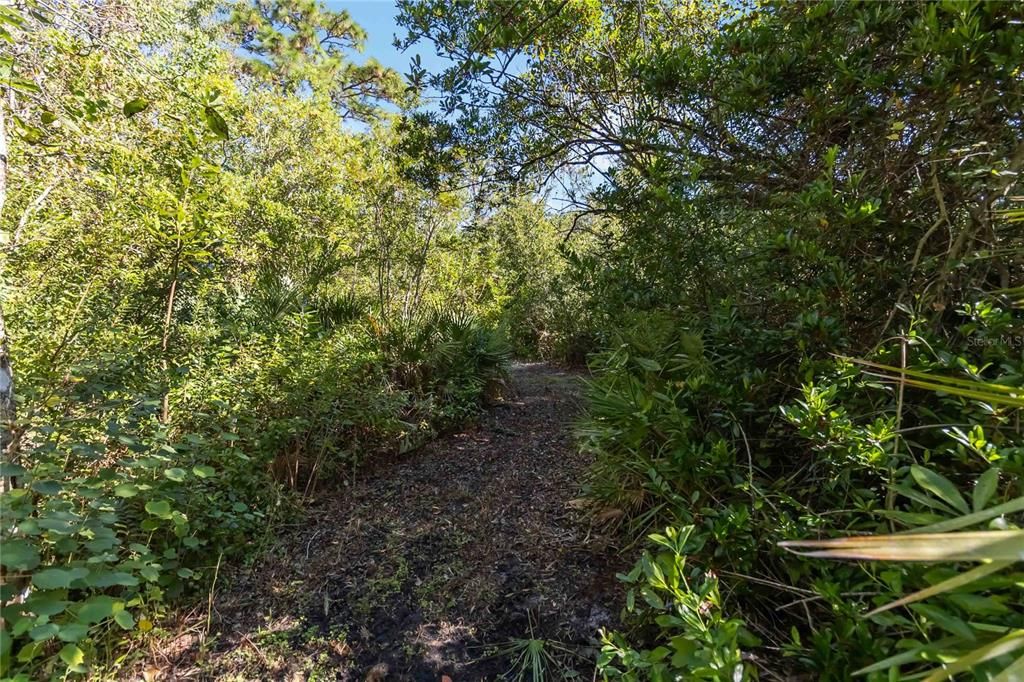 For Sale: $400,000 (4.76 acres)