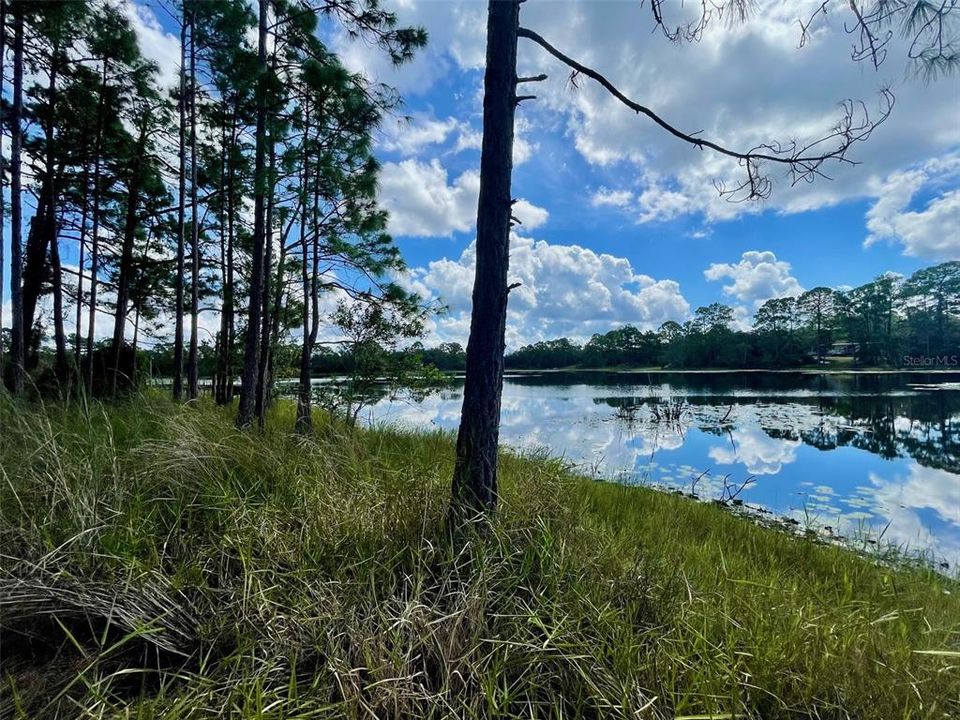 На продажу: $35,000 (0.32 acres)