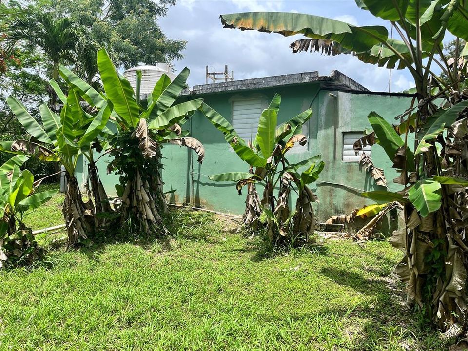 待售: $260,000 (0 贝兹, 0 浴室, 3102 平方英尺)