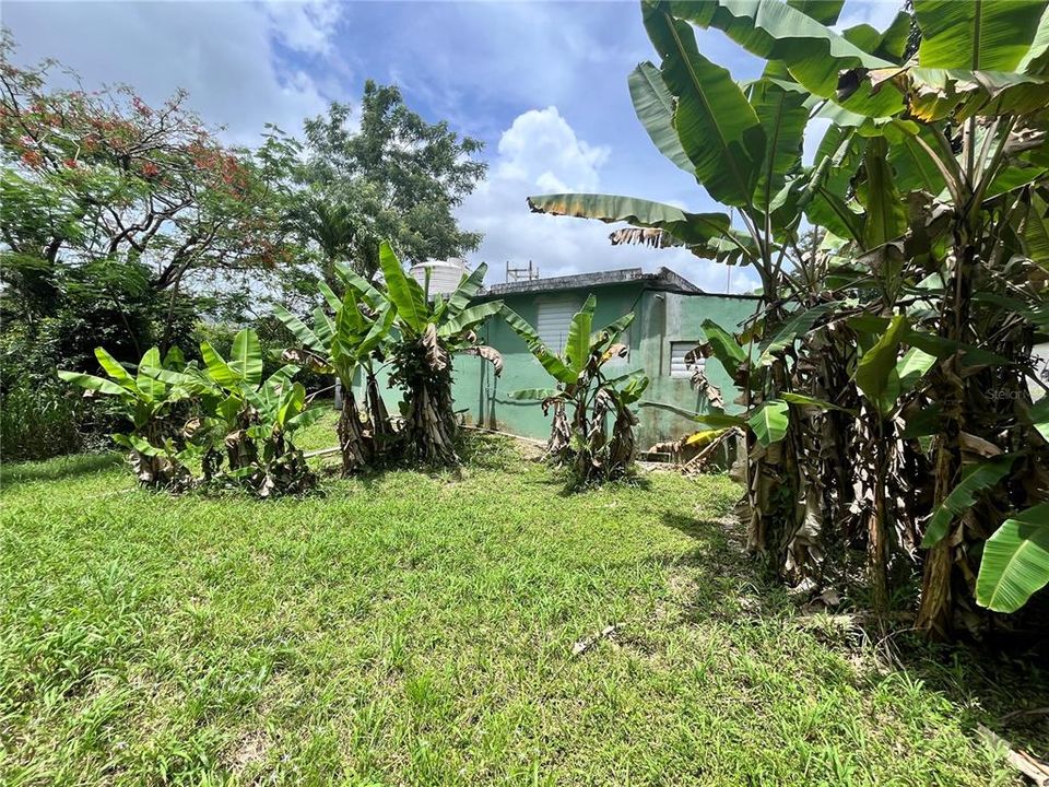 待售: $260,000 (0 贝兹, 0 浴室, 3102 平方英尺)