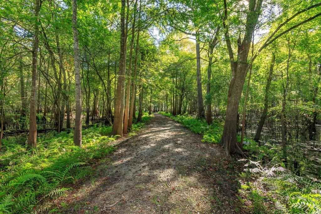 На продажу: $794,900 (3 спален, 2 ванн, 2973 Квадратных фут)