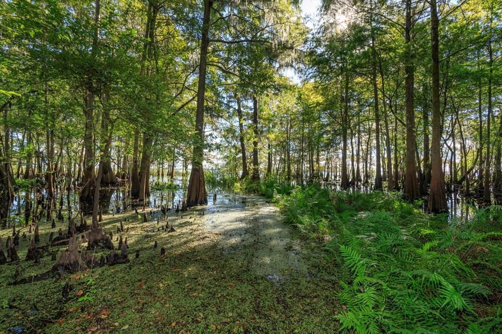 На продажу: $794,900 (3 спален, 2 ванн, 2973 Квадратных фут)