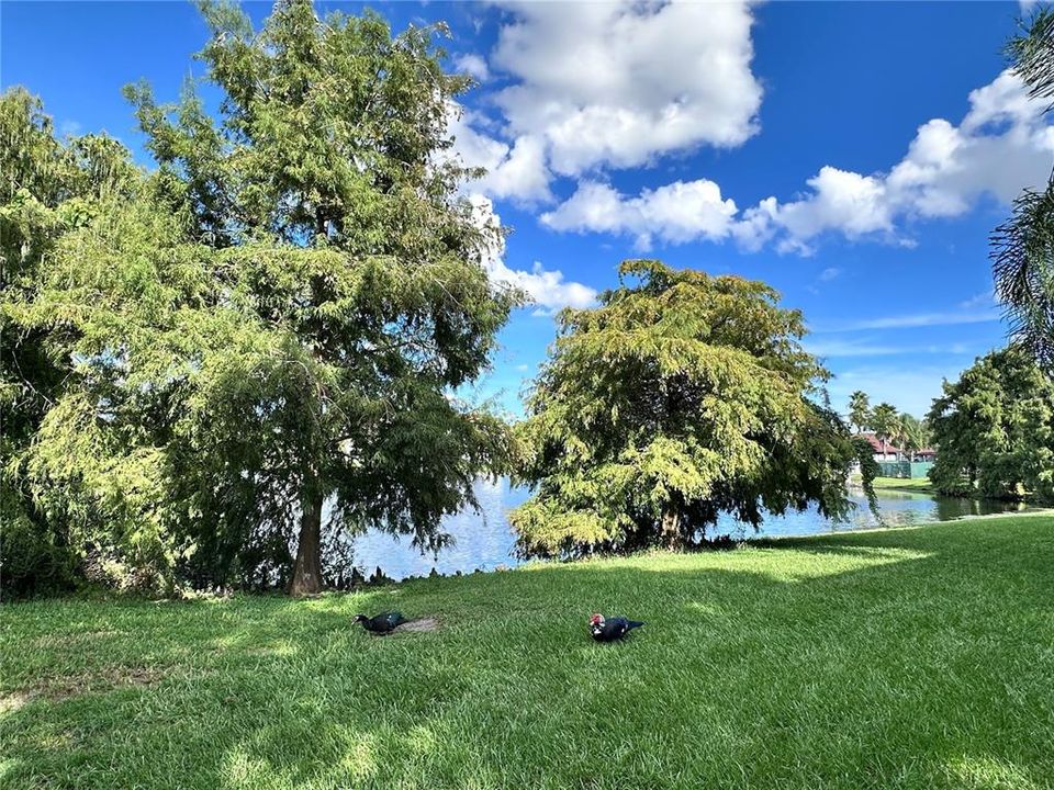 待售: $149,000 (2 贝兹, 2 浴室, 1062 平方英尺)