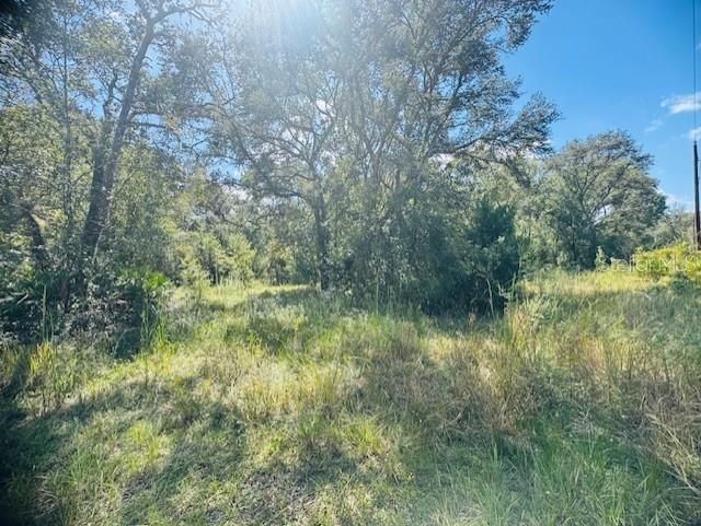 En Venta: $299,900 (4 camas, 2 baños, 1400 Pies cuadrados)