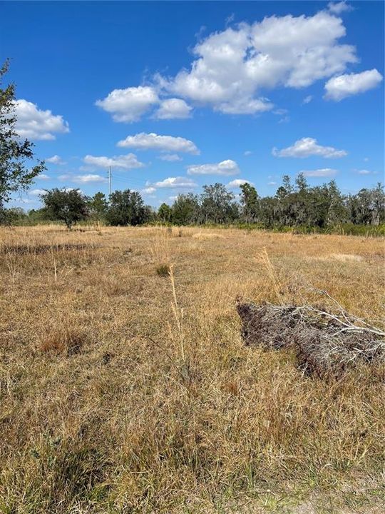 En Venta: $53,900 (1.16 acres)