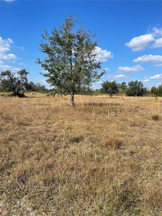 En Venta: $53,900 (1.16 acres)