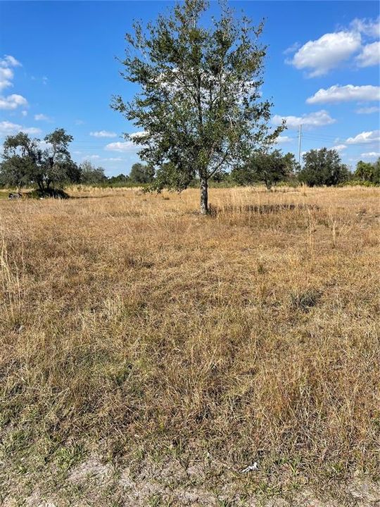 En Venta: $53,900 (1.16 acres)
