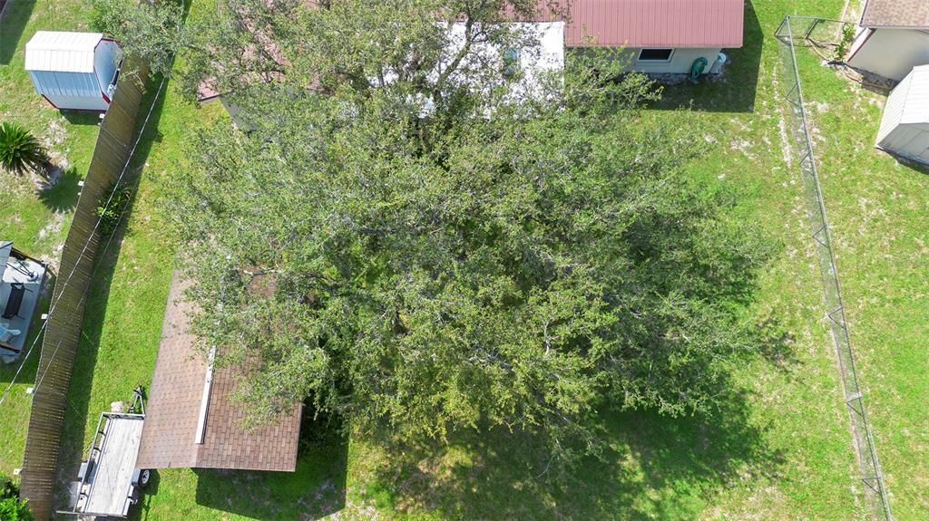 На продажу: $313,000 (3 спален, 2 ванн, 1411 Квадратных фут)