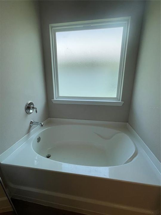 出租: $2,900 (3 贝兹, 2 浴室, 1635 平方英尺)