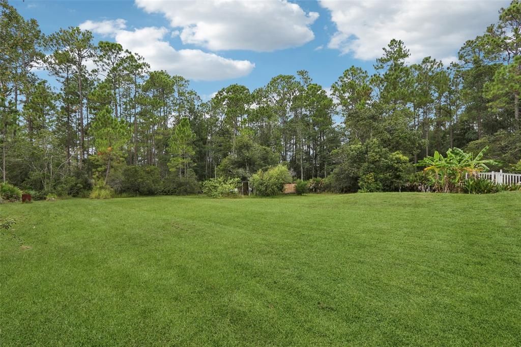 На продажу: $359,999 (3 спален, 2 ванн, 1677 Квадратных фут)