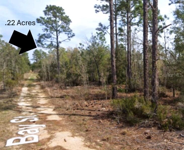 For Sale: $10,500 (0.22 acres)