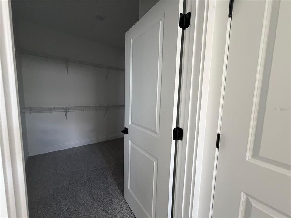 出租: $3,800 (5 贝兹, 4 浴室, 2900 平方英尺)