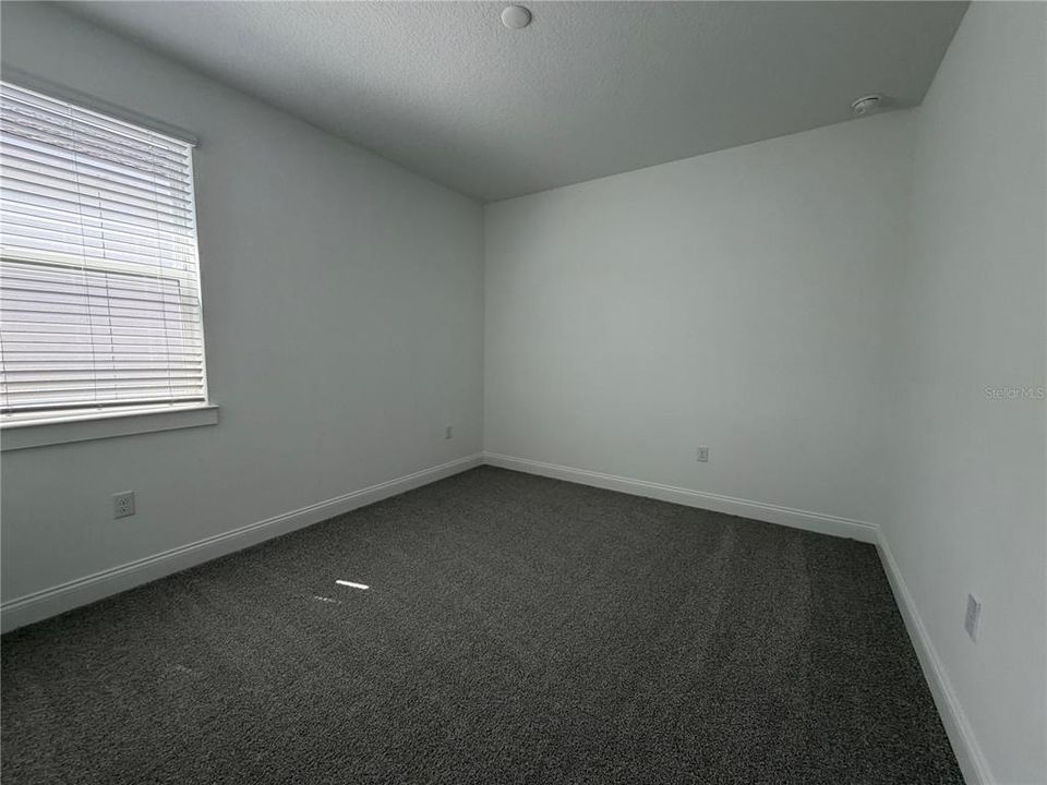 出租: $3,800 (5 贝兹, 4 浴室, 2900 平方英尺)