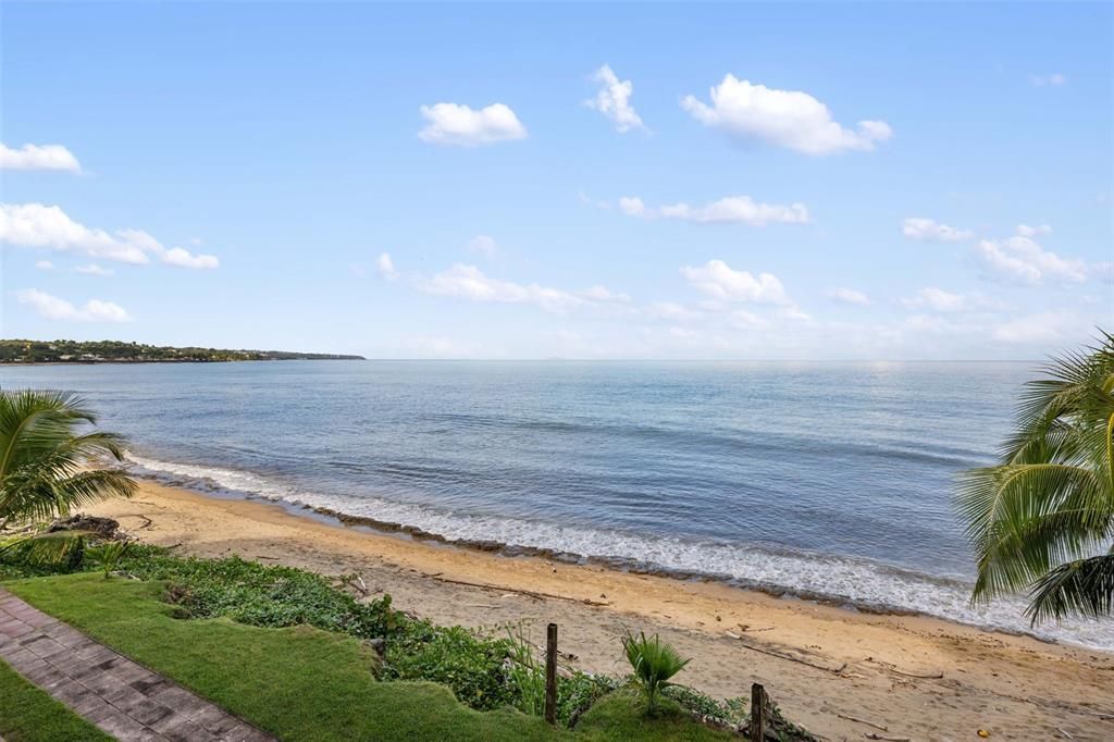 待售: $325,000 (2 贝兹, 1 浴室, 550 平方英尺)