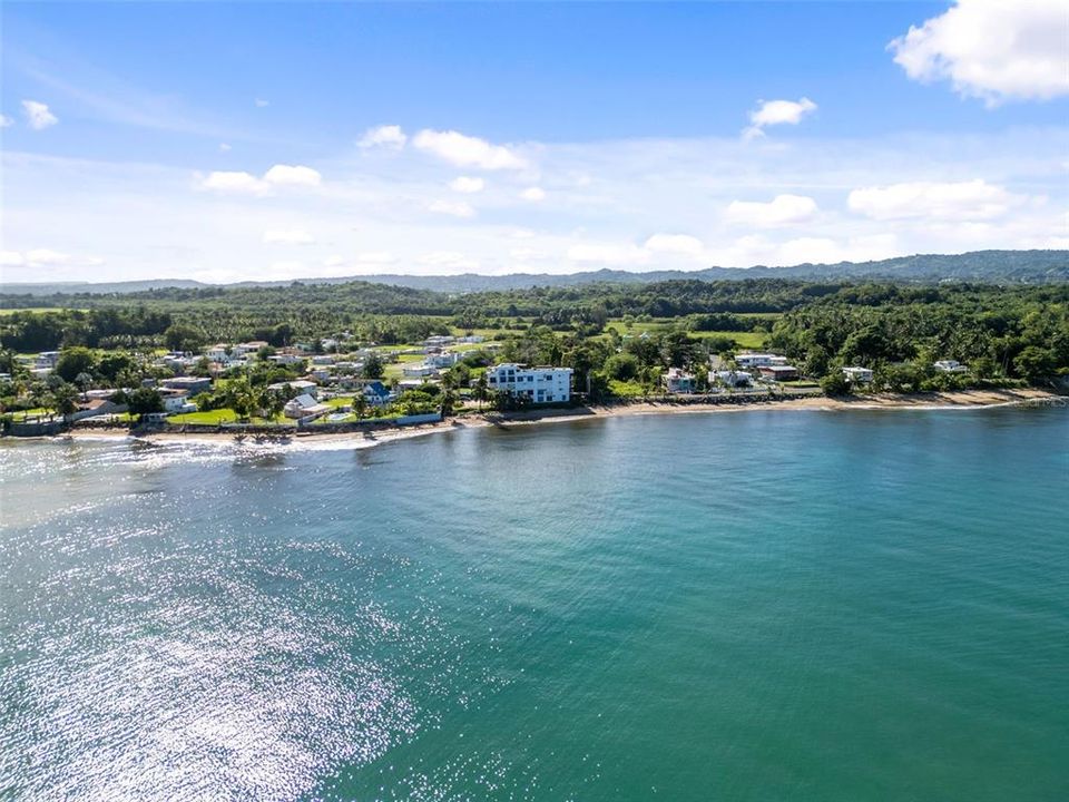 待售: $325,000 (2 贝兹, 1 浴室, 550 平方英尺)