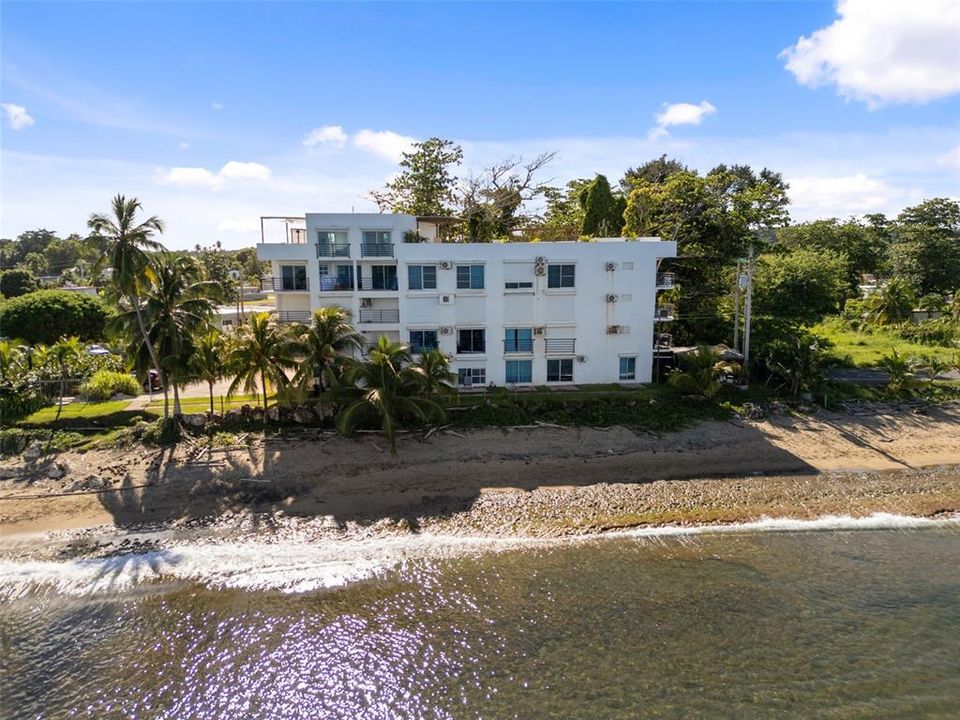 待售: $325,000 (2 贝兹, 1 浴室, 550 平方英尺)