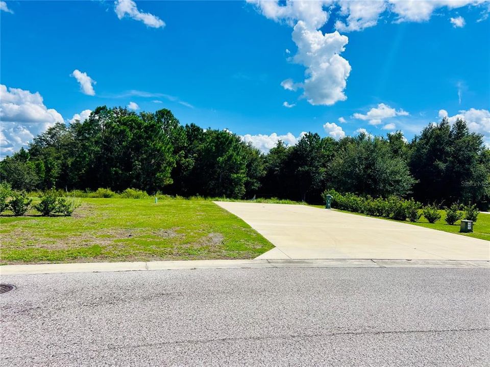 For Sale: $110,000 (0.16 acres)