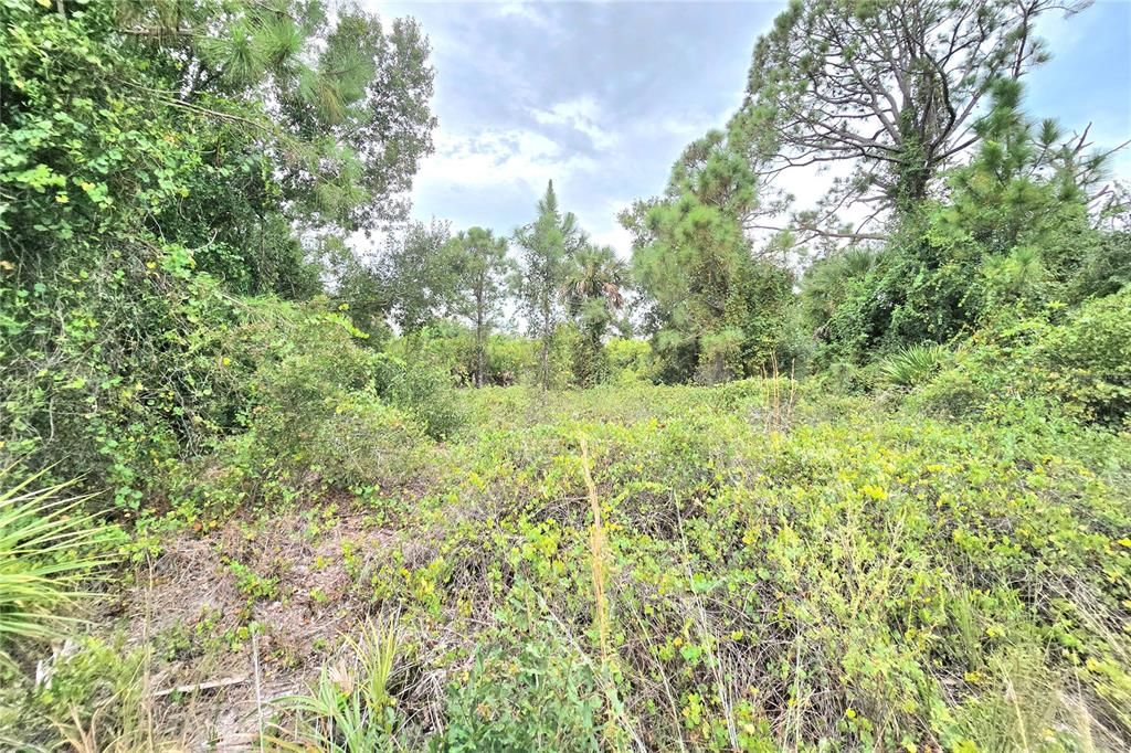 Под контрактом: $45,000 (0.49 acres)