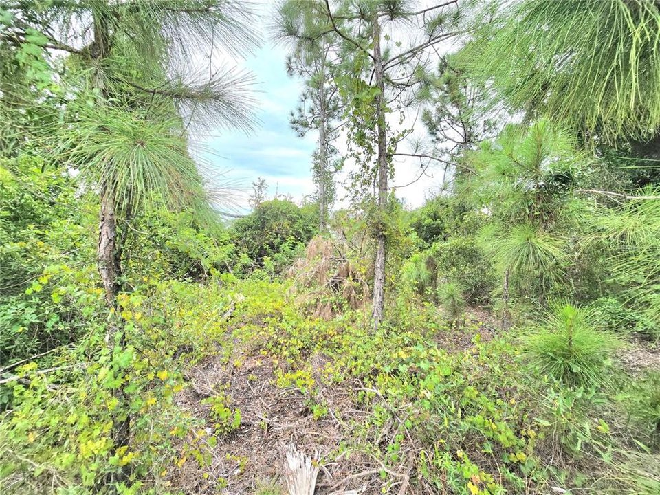 Под контрактом: $45,000 (0.49 acres)