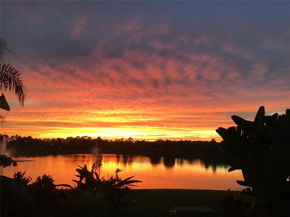 Под контрактом: $435,000 (3 спален, 2 ванн, 1586 Квадратных фут)