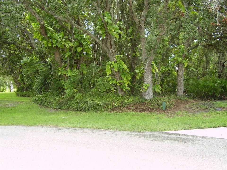 For Sale: $88,999 (0.48 acres)