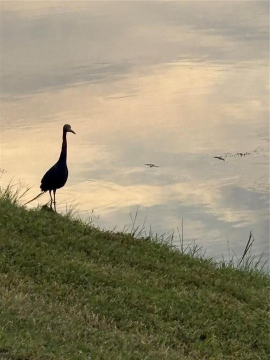 En Venta: $324,500 (3 camas, 2 baños, 1784 Pies cuadrados)