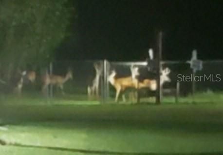 En Venta: $949,900 (4 camas, 3 baños, 2840 Pies cuadrados)