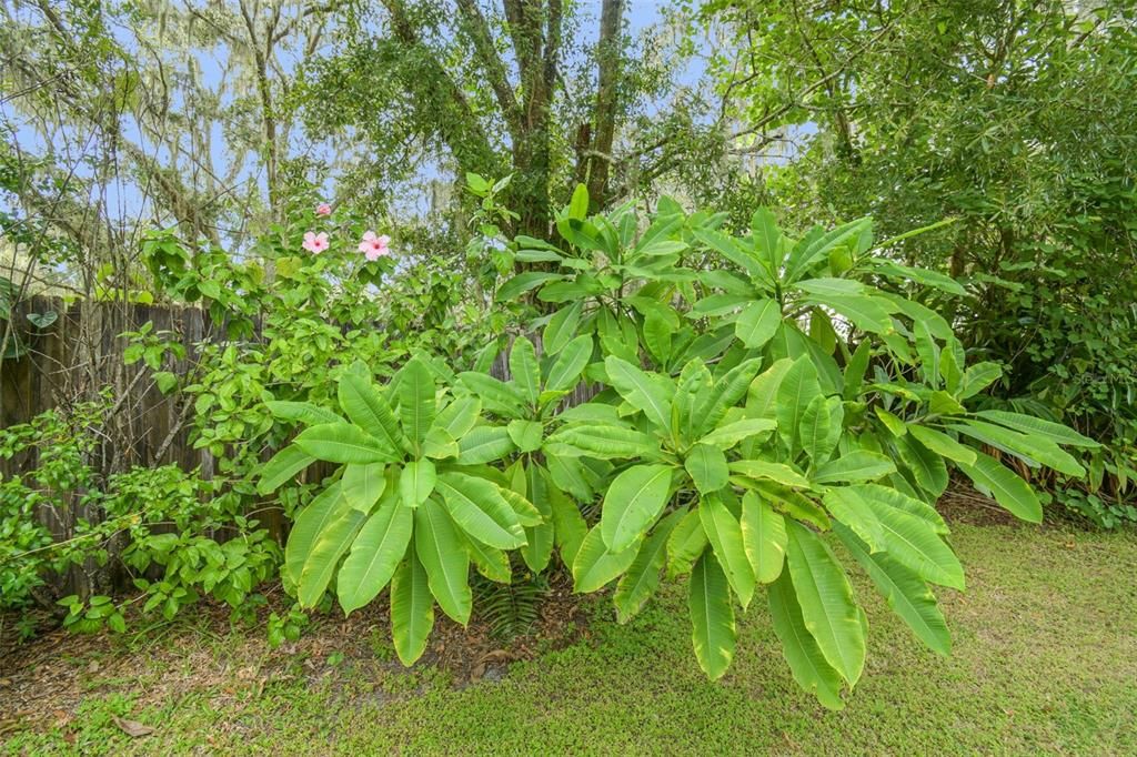 En Venta: $949,900 (4 camas, 3 baños, 2840 Pies cuadrados)