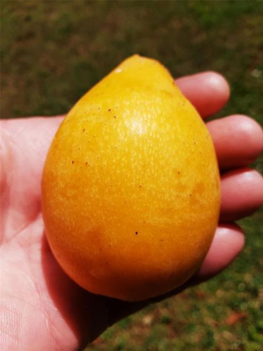 En Venta: $949,900 (4 camas, 3 baños, 2840 Pies cuadrados)