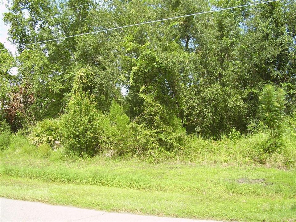 For Sale: $79,999 (0.16 acres)