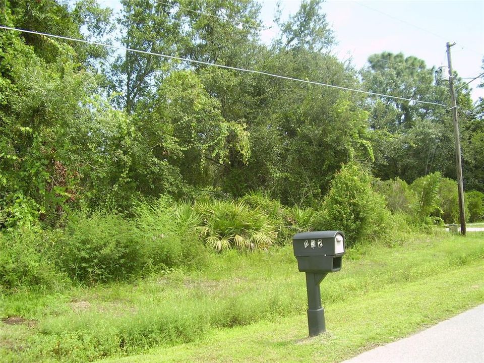 For Sale: $79,999 (0.16 acres)