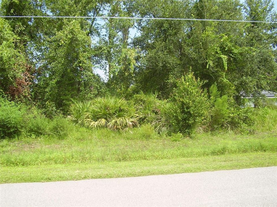 For Sale: $79,999 (0.16 acres)