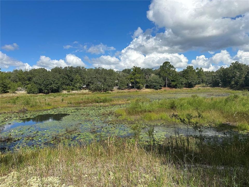 На продажу: $15,000 (0.36 acres)