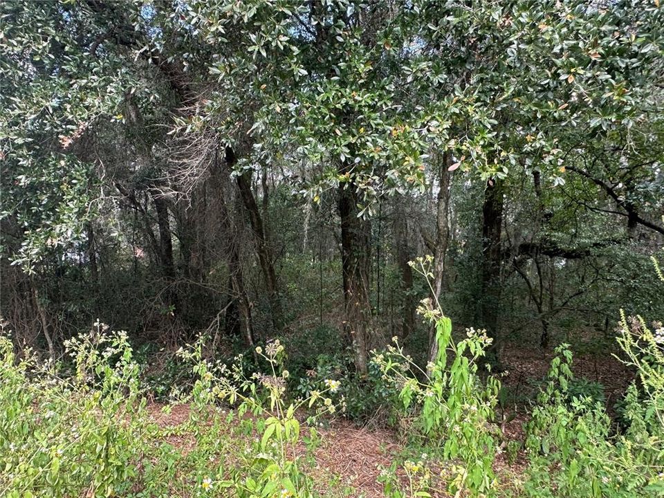 На продажу: $15,000 (0.36 acres)