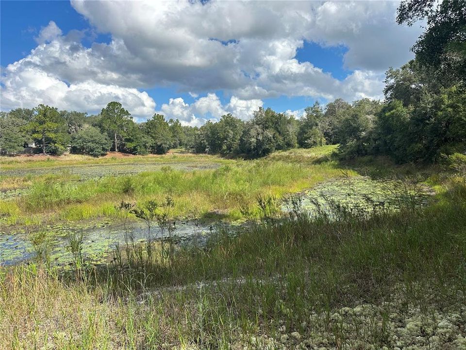 На продажу: $15,000 (0.36 acres)