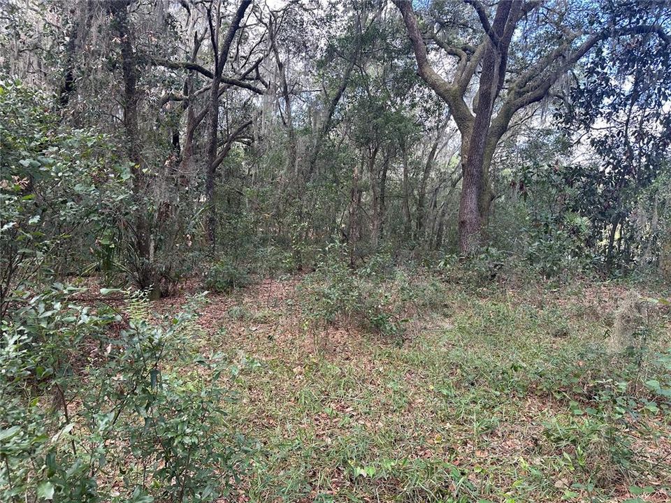 На продажу: $15,000 (0.36 acres)