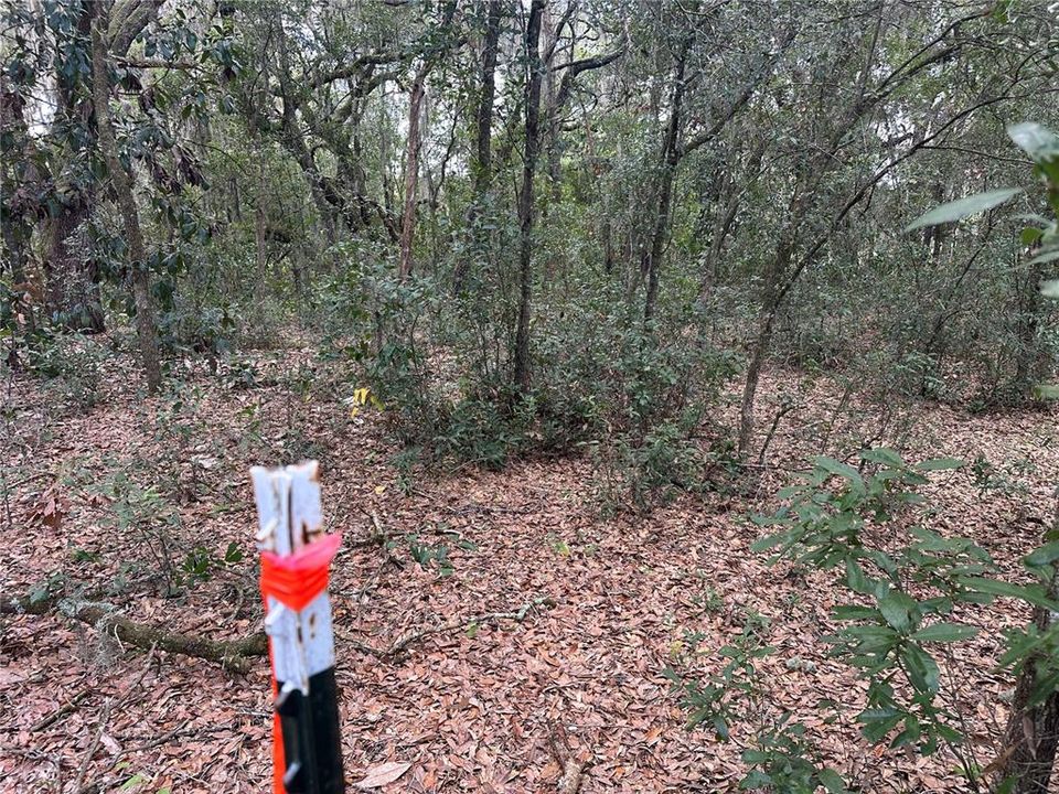 На продажу: $15,000 (0.36 acres)