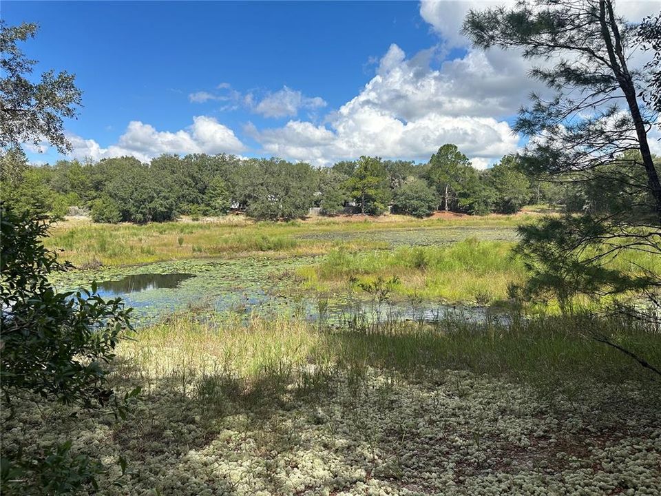 На продажу: $15,000 (0.36 acres)