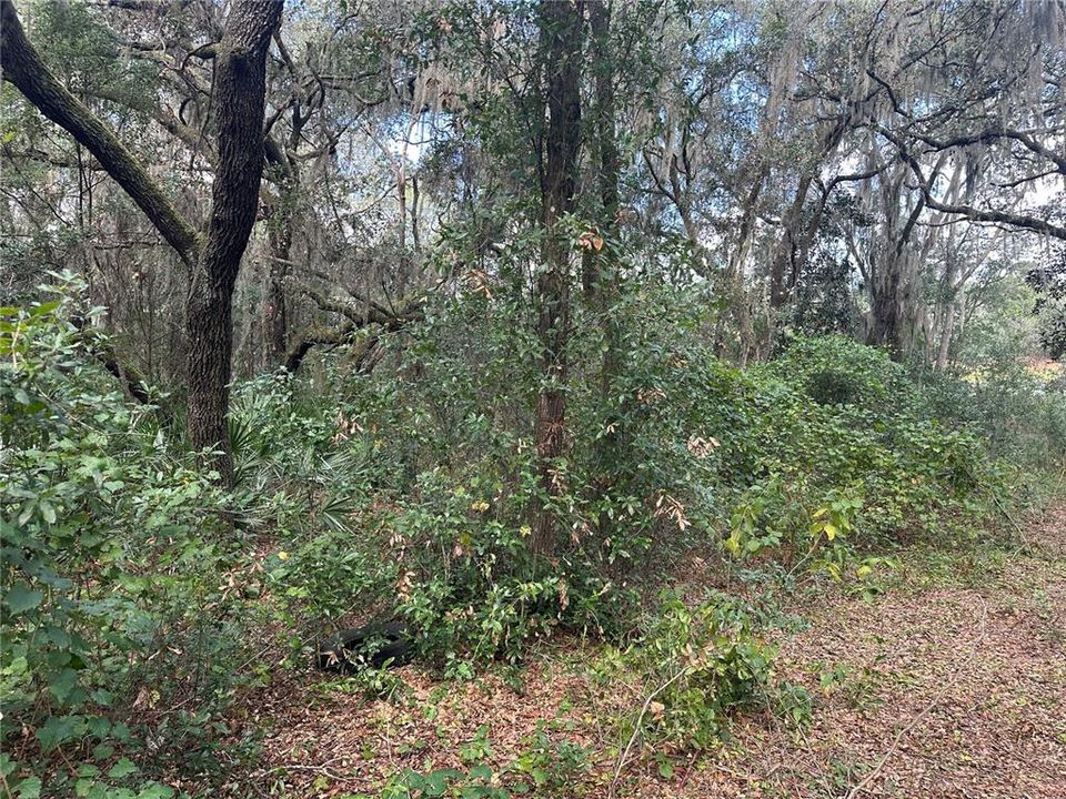 На продажу: $15,000 (0.36 acres)