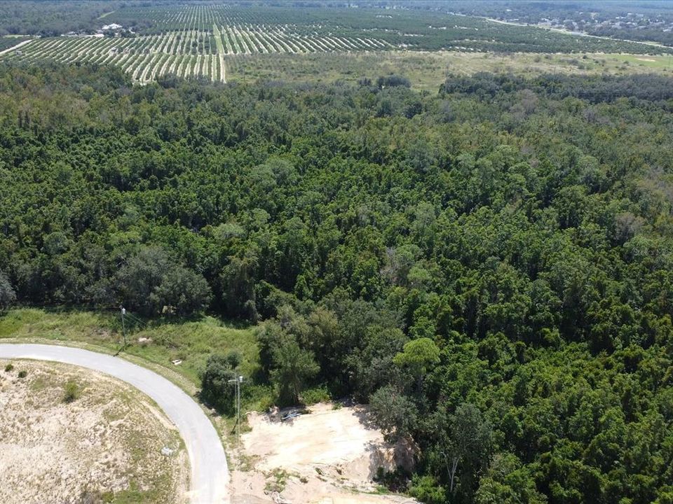 For Sale: $125,000 (0.31 acres)