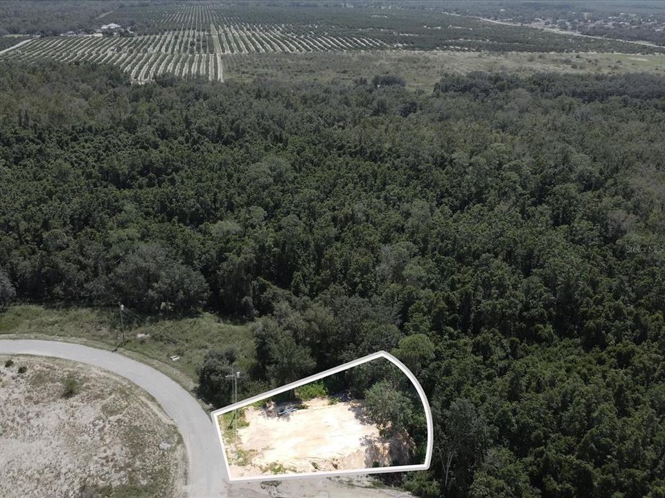 For Sale: $125,000 (0.31 acres)