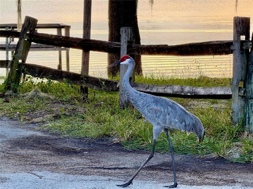 For Sale: $187,500 (2 beds, 1 baths, 672 Square Feet)