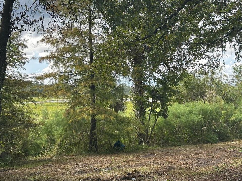 待售: $750,000 (2 贝兹, 1 浴室, 1155 平方英尺)