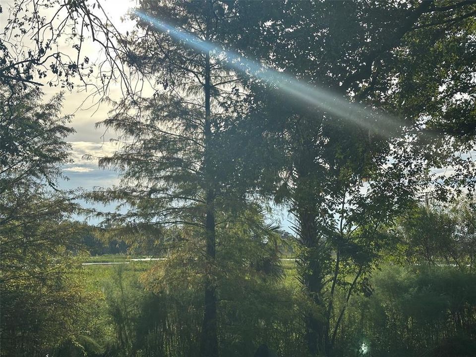 待售: $750,000 (2 贝兹, 1 浴室, 1155 平方英尺)