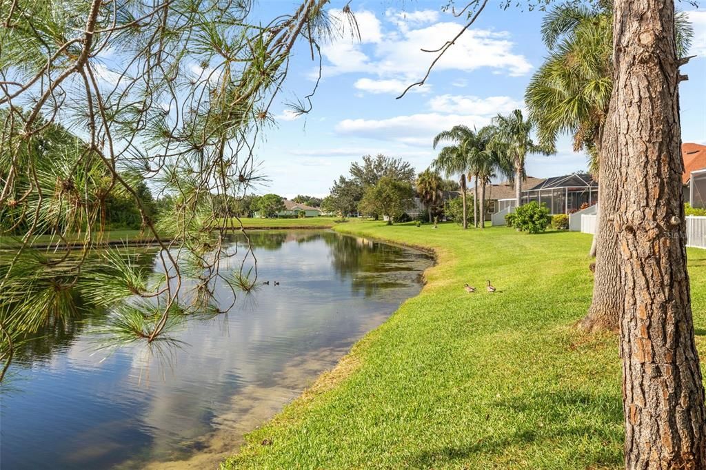 Active With Contract: $450,000 (3 beds, 2 baths, 1992 Square Feet)
