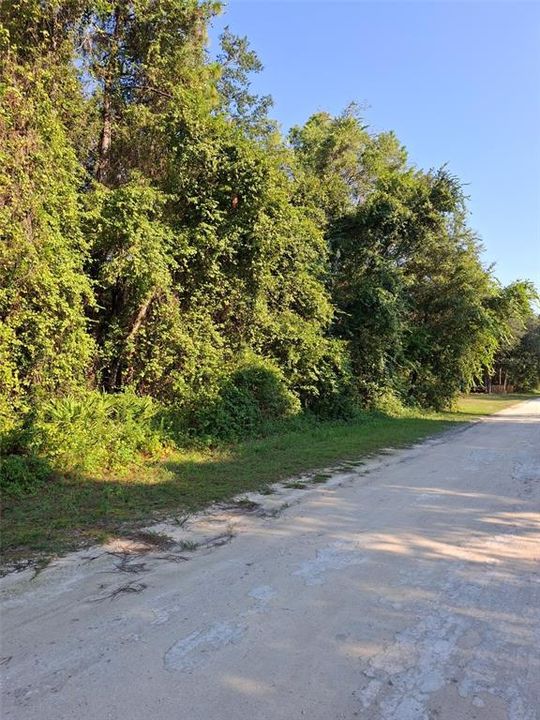 Active With Contract: $34,900 (0.46 acres)