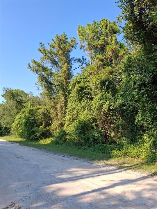 Active With Contract: $34,900 (0.46 acres)