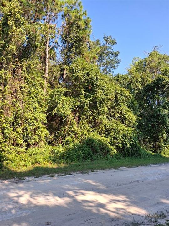 Active With Contract: $34,900 (0.46 acres)