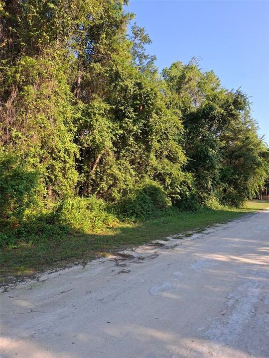 Active With Contract: $34,900 (0.46 acres)