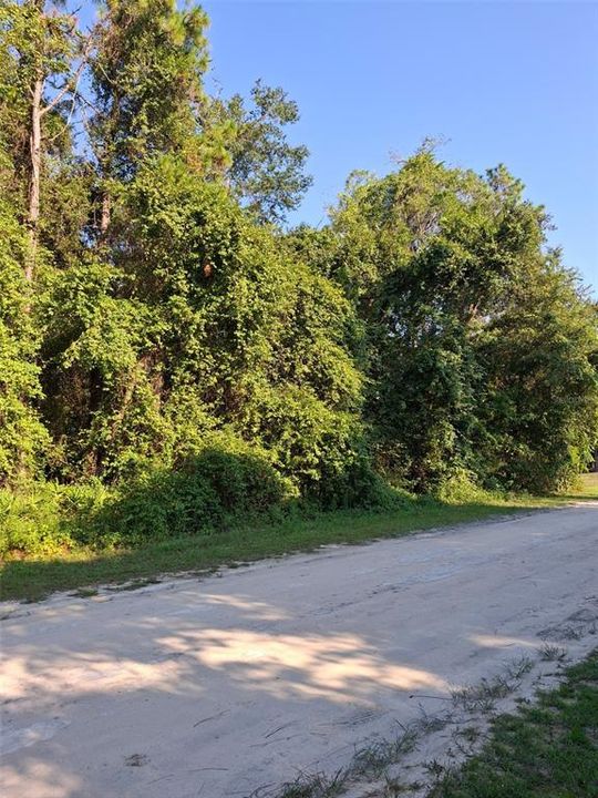 Active With Contract: $34,900 (0.46 acres)